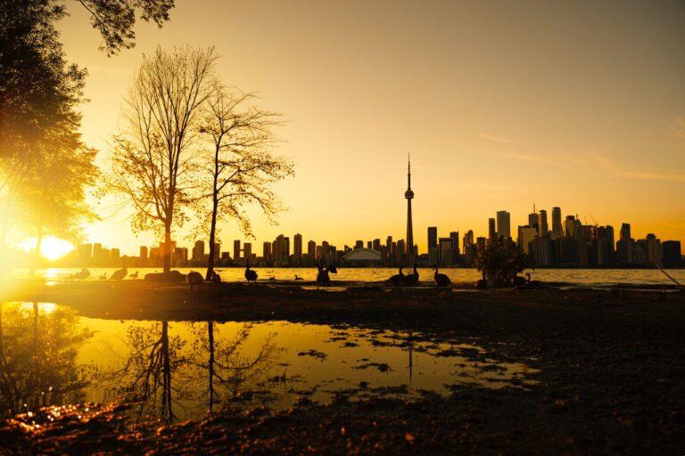 Are You Planning For Canada Migration? Choose Professional Immigration